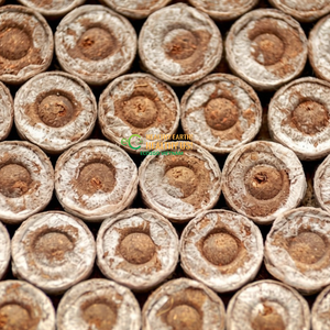 Coir Jiffies, substrat naturel inodore pour la germination des graines, avec filet biodégradable et facilitant le repiquage, ECO2GO VIETNAM - Product Image 3