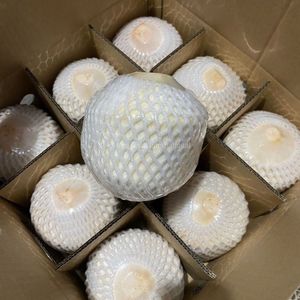Noix de coco fraîche naturelle à découper, pour consommation humaine, vente en gros - Product Image 2