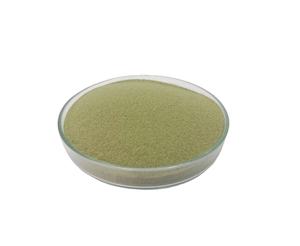 Moq 25 kg สารสกัดจากผงสมุนไพร10% paniculata สกัดจากประเทศไทย (ผง10 AP-KMP) - Product Image 1