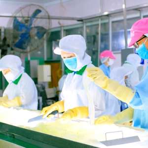 Jugo de Aloe Vera de 500 ml, Puré con Sabor a Piña, Botella PET NFC, Fabricación de Marca Privada OEM/ODM, Venta al por Mayor - Product Image 6