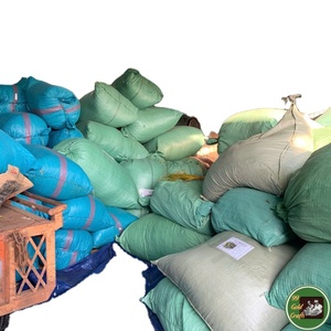 Hojas de Guanábana Secas Procesadas Cuidadosamente, Material Natural de Hoja para Té y Bebidas, Procedentes de Vietnam - Product Image 1