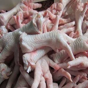 Patas de Pollo Congeladas Premium a Granel, Listas para Cocinar, Exportación, Proveedor Mayorista, Directo de Fábrica, Tiendas de Comestibles, Servicios de Alimentos - Product Image 4