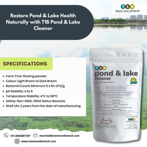 Removedor de lodo de maquinaria de tratamiento de agua para mejorar los niveles de oxígeno en estanques - Product Image 3