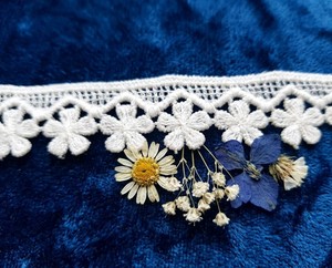 Ribete de Encaje Floral Bordado en Poliéster Blanco Ecológico de Primera Calidad, con un Encantador Diseño de Margaritas, para Prendas de Vestir y Decoración del Hogar - Product Image 4