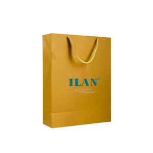 Borsa Regalo ILAN M 32x26x10cm con Stampa a Caldo Dorata - Product Image 1