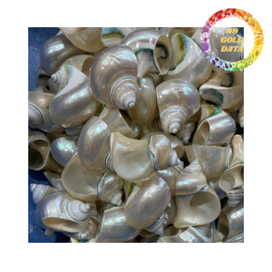 Porte-serviettes moderne de luxe en coquillage naturel, écologique et durable, support en forme de coquille de conque pour décoration nautique de salle de bain et de maison - Product Image 1