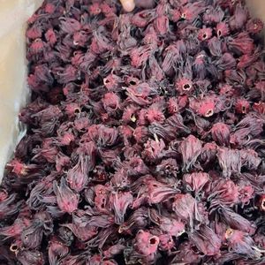 ENVÍO EN EL MISMO DÍA Té de Hibisco de Primera Calidad para Uso en Bebidas y para Apoyar la Hidratación, Fuente Vegetal - Product Image 3