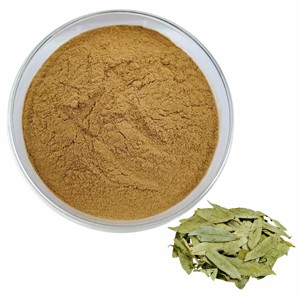 Extrait de feuille de séné pur à 100 % OEM 10:1, poudre de séné de qualité supérieure pour le soutien digestif, poudre de feuille de séné moulue finement de qualité alimentaire - Product Image 4