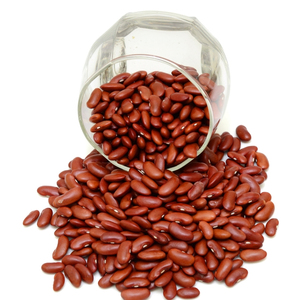 Frijol Rojo Orgánico Seco Premium para Exportación a Granel con Semillas Procesadas Limpias, Color Natural y Empaque para Alimentos - Product Image 1