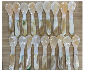 Cuillère artisanale en coquillage de qualité supérieure provenant d'un fournisseur vietnamien - Cuillère en coquillage naturel pour la vaisselle et la décoration de table - Product Image 5
