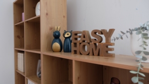 12-Grid <b>Solid</b>-Core Adjustable Living Room Furniture Storage <b>Wooden</b> <b>Bookcase</b> - Product Image 3