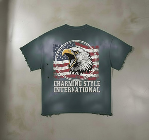 Camiseta Oversize de Algodón Pesado con Estampado DTG y Lavado Ácido Vintage, Lisa, sin Estampado, Estilo Hip Hop - Product Image 2