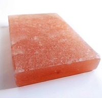 Tuiles de sel rose de l'Himalaya naturelles 8x4x0,75 pouces, tuiles murales en sel, briques de sel pour spa, sauna, bien-être