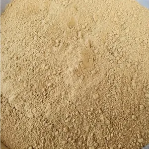 Premium <b>Ginger</b> Powder Vietnam Origin Fine Ground Natural Aroma Food Grade for Wholesale and Export - Product Image 1