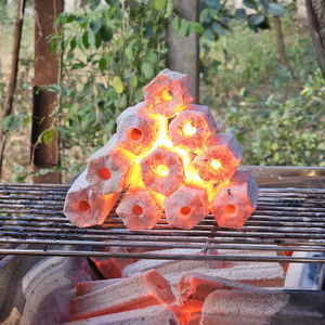 Máquina para Briquetas de Carbón de Aserrín Hexagonal, Hecha con Ceniza Blanca y Madera Dura y Blanda para Parrillas de Barbacoa del Mercado de Oriente Medio - Product Image 1