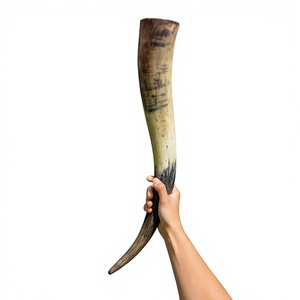Large Viking Horn Handmade Polished Ox Horn Eco-Friendly Lightweight Portable Old Fashioned Glass Beer Cup B.S International - Product Image 1