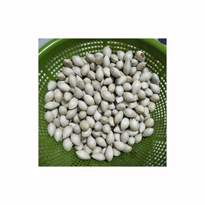 Nueces de Ginkgo con y sin cáscara, suministro a granel para procesamiento de alimentos y distribución mayorista con opciones de empaque personalizado - Product Image 1