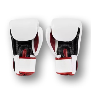 Gants de boxe Fairtex de qualité supérieure en cuir véritable pour grappling et confort, avec motifs imprimés, prix de gros RTS AI-BG-16 - Product Image 4