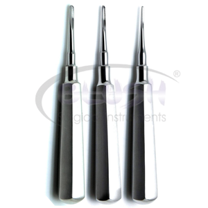 Juego de 8 Elevadores Dentales de Acero Inoxidable, Rectos y Curvos, para Extracción de Hueso y Tejido, Instrumento de Cirugía General de Alta Precisión - Product Image 3