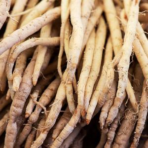 Extraits de plantes de qualité alimentaire riches en vitamines Shatavari extraits de CO2 super critiques dans des suppléments à base de plantes d'emballage en boîte - Product Image 6