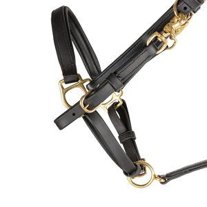 Harnais en cuir professionnel de haute qualité, exportateur en gros, équipement équestre très résistant, logo personnalisé, ODM, couleur unique 2026 - Product Image 5