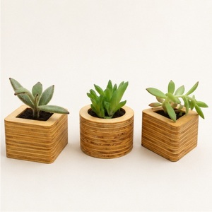 Minimalist Geometric Wooden Succulent Planter Set Eco-Friendly <b>Mini</b> Flower <b>Pots</b> for Modern Office Desktop & Home Decor - Product Image 1