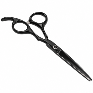 Ciseaux à cheveux professionnels de 6 pouces en acier inoxydable, outil de coiffure (noir) - Product Image 4