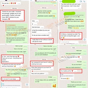 Peluca hinchable Un solo donante Resalte Color Extensiones de cabello humano Proveedor vietnamita Material doble Encaje HD - Product Image 6