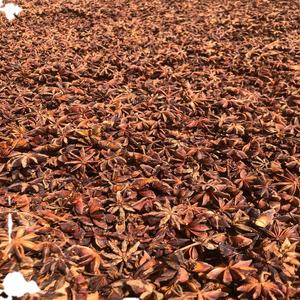 Anis étoilé du Vietnam de haute qualité, processus de séchage AD, certifié ISO 22000, marque AGRIKIM, échantillon gratuit disponible - Product Image 6