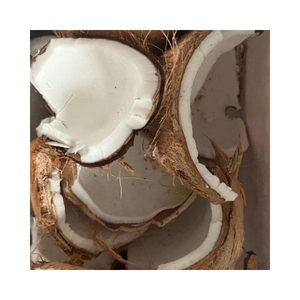 Frozen IQF <b>Coconut</b> Meat White Pieces Shred Bulk Vacuum Pack with 24 Months Shelf Life for Dessert Beverage and Food Processing - Product Image 2
