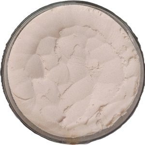 ผงเอนไซม์สำหรับอาหารสัตว์ xylanase มีหลายการใช้งานชั้นนำจากอินเดียอินเดียอินเดียอินเดียอินเดียอินเดียอินเดียอินเดียอินเดียอินเดีย - Product Image 2