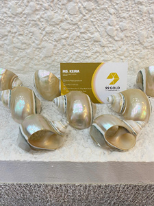 ที่ใส่ผ้าเช็ดปากธีมมหาสมุทรสำหรับตกแต่งโต๊ะจัดเลี้ยงในโรงแรม  งานแฮนด์เมดจากหอยทากและเปลือกหอย ผลิตในเวียดนาม - Product Image 2