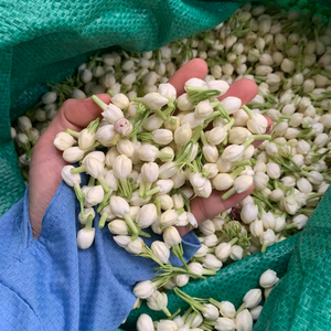 ดอกมะลิสดบานมีกลิ่นหอมตามธรรมชาติสำหรับตกแต่งชาการจัดดอกไม้งานแต่งงานขายส่ง - Product Image 4
