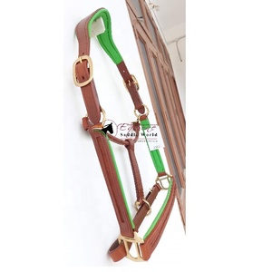 Meilleure vente Collier tête de cheval de qualité supérieure en cuir vert avec rembourrage vert Quincaillerie dorée Canal vide Nez Pièce joue - Product Image 6