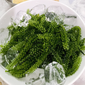 Uvas de Mar Naturales |   Listo para comer, estándar de exportación - Product Image 1