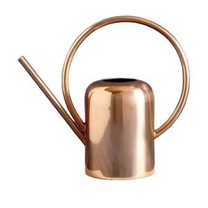 Arrosoir en métal au design attrayant, outil professionnel d'arrosage des plantes - Product Image 6