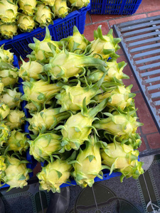Dragon <span class=keywords><strong>fruit</strong></span> jaune ODM <span class=keywords><strong>de</strong></span> haute qualité, norme d'exportation courante, frais, 100% naturel, OEM - Product Image 3
