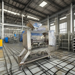 Máquina Automática para Descascarar Anacardos de 80 Kg - Product Image 4