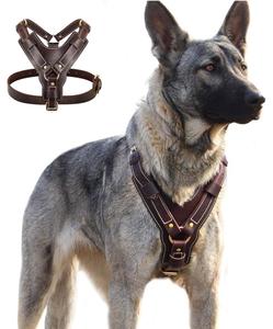Arnés de Cuero Personalizado para Perro, Resistente, Ajustable, Tipo Chaleco, Sin Tirones, para Entrenamiento y Paseo, Accesorios para Perros de 20 kg+ - Product Image 3