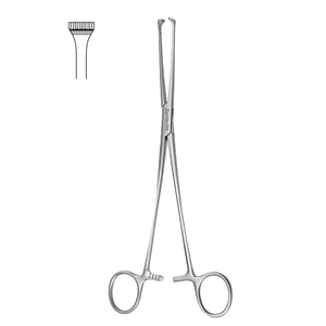 คีมจับเนื้อเยื่อทางการแพทย์ Allis Forceps คีมผ่าตัดสแตนเลสสตีลแบบใช้ซ้ำได้สำหรับการจับเนื้อเยื่ออย่างปลอดภัย - Product Image 4