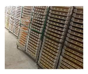 Chips de banane de haute qualité, coupées en fines tranches, du Vietnam - Snack fruité croustillant pour l'industrie alimentaire - Product Image 5