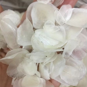 LES MEILLEURES 2024 Les écailles de poisson Tilapia sont un produit naturel unique et attrayant dans l'industrie de la beauté/Ms.Thi - Product Image 1