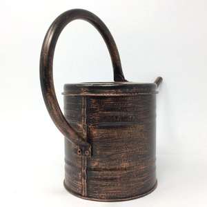 Arrosoir de jardin Adiba Home Decor, style vintage, en métal classique, écologique, durable, 1,8 L, pour plantes d'intérieur et d'extérieur - Product Image 4