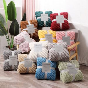 Solid Color Thick Flannel Fleece Throw Blanket Soft 100% Polyester <b>Bed</b> <b>Sofa</b> Office Nap Blanket King Queen Twin Size OEM ODM - Product Image 1