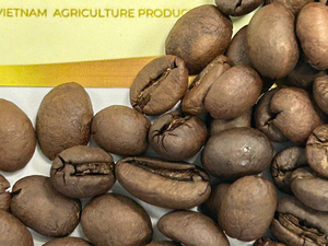 Honey Process Roasted <b>Coffee</b> <b>Beans</b> Unique Sweetness Complex Flavor Profile Premium Speciality <b>Coffee</b> for Export - Product Image 4