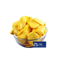 Hoogwaardige knapperige jackfruitchips, natuurlijke gedroogde fruitsnack, groothandel, Vietnamese leverancier Blue Lotus