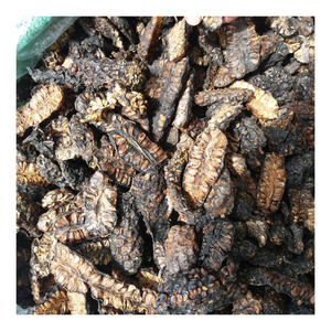 Rodajas de Noni Deshidratadas para Procesamiento de Bebidas, Empaque Minorista y Distribución Mayorista - Product Image 5