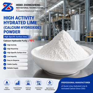 Polvo de Cal Hidratada de Alta Actividad, Hidróxido de Calcio en Polvo con 95% de Pureza y Alta Área de Superficie Específica para Uso Industrial - Product Image 1