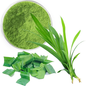 Polvo de Hoja de Pandan Orgánico Más Vendido, Aditivo Natural Verde Vibrante para la Producción de Pasteles y Bebidas, Exportador Mayorista - Product Image 4