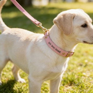 Collar de Perro de Cuero PU Impermeable, Acolchado Suave y Ajustable, con Hebilla de Metal, Logotipo Personalizado OEM - Product Image 1